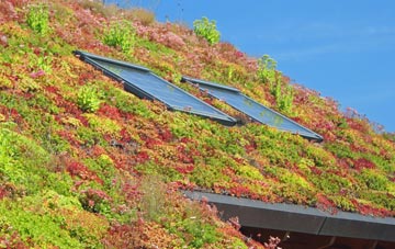 Maesycwmmer living roof systems